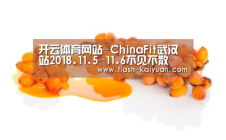 开云体育网站-ChinaFit武汉站2018.11.5-11.6不见不散(图4) 开元体育app