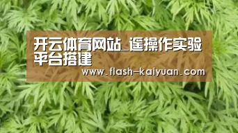 开云体育网站_遥操作实验平台搭建(图1) 开元体育app